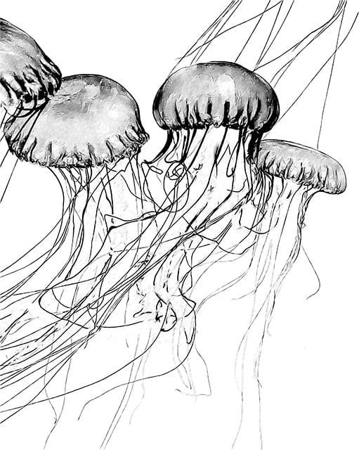 Unlocking Wisdom: Best Study Bibles for Adults 8 In-depth Reviews of Top Study Bibles for Adult Learners