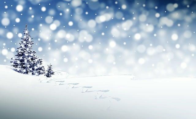 Green Thumbs Rejoice: Advent Calendars for Gardeners! 9 - Celebrating Nature: Connecting with the Outdoors through Advent Calendars