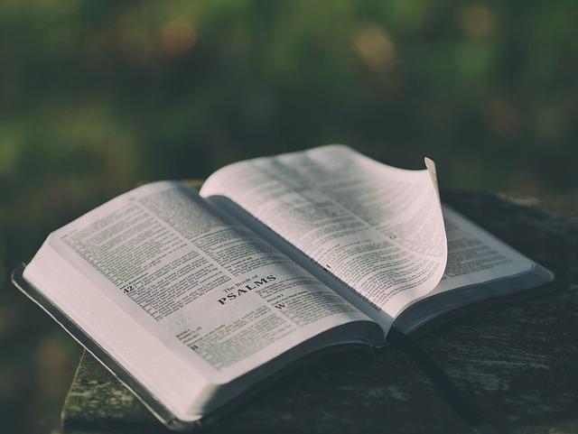 Discover the Top 5 Bibles Everyone's Talking About! 8 Evaluating User-Friendly Bibles for Beginners and Novices