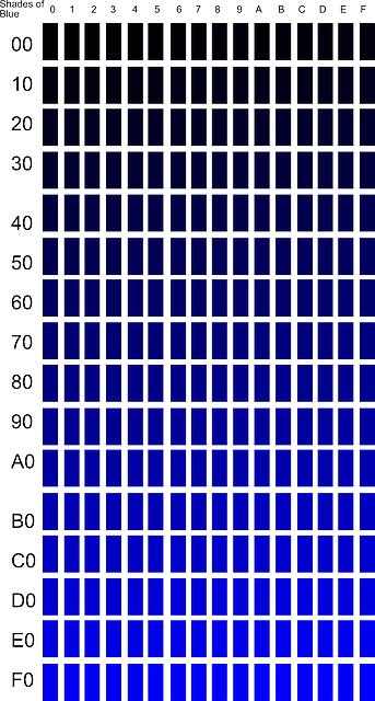 Skin Deep: Goatskin vs Calfskin Bibles Unveiled 9 - The Importance of Material Selection in Preserving Your Bible
