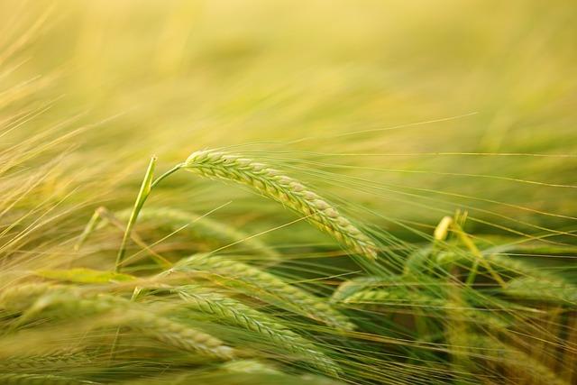 Heading 3: Cultivating a Positive Mindset Through Appreciation