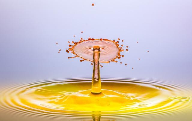 - Features to Look for in the Best NLT Bibles