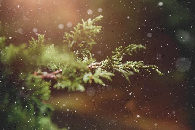 The Meaning and Significance of Advent in the Christian Tradition