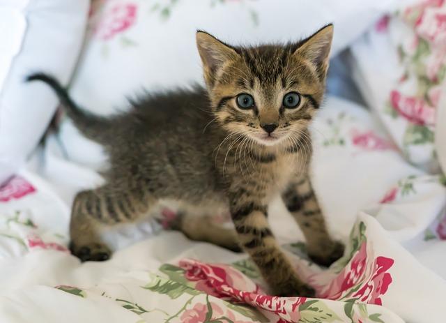 Fostering Love and Understanding in the Healing Process
