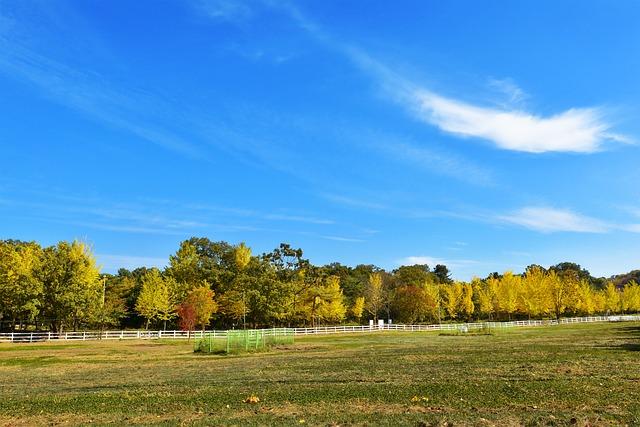 Healing Words: Experience Miracles with Powerful Words of Prayer for Healing 3 Incorporating Healing Words into Your Daily Prayer Practice