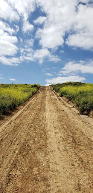Connecting with Spirit Guides and Ancestors for Support in Healing the Family Tree