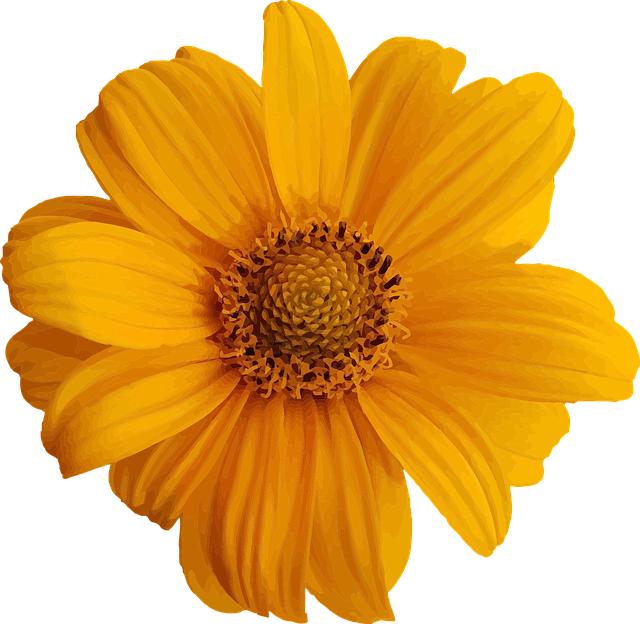 Join the Faithful: Top Selling Bibles Available Now! 7 Understanding the Importance of Annotations and Commentaries