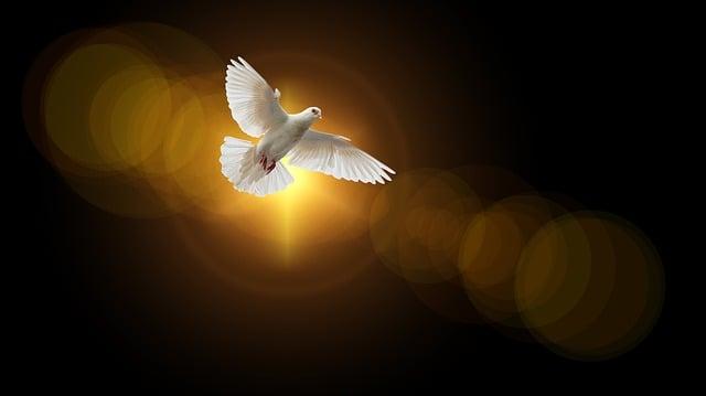 Bibles Verses for Encouragement: Finding Strength in Scripture 4 Turning to the New Testament for Encouragement
