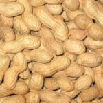 Ensure Everyone’s Included with a Peanut-Free Advent Calendar