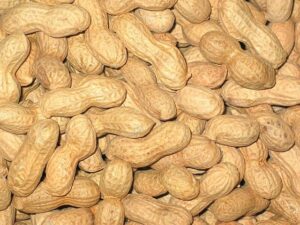 Ensure Everyone's Included with a Peanut-Free Advent Calendar 25 Ensure Everyone’s Included with a Peanut-Free Advent Calendar