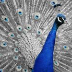 Alabaster Bibles Review: Unveiling the Beauty Within! 16 Alabaster Bibles Review: Unveiling the Beauty Within!
