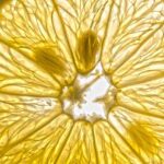 Nourish Your Soul: Best Devotional Bibles Await!