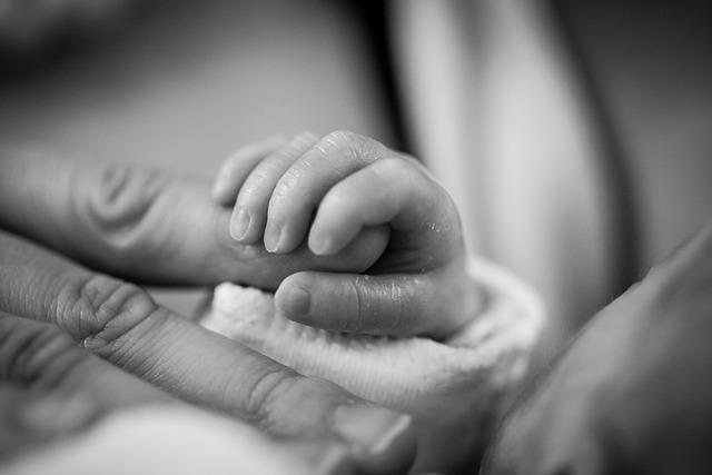 Engage with Scripture by Reading Luke for Advent 6 Connecting with the Birth of Jesus
